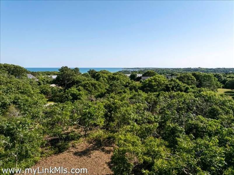 32 Stonewall Road and 4 Cedar Lane  Chilmark