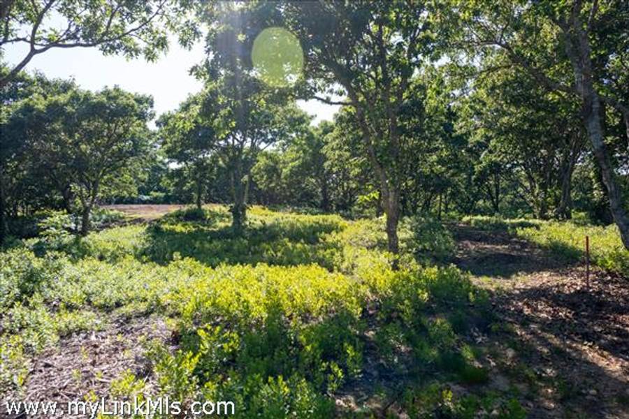 4- Cedar Lane  Chilmark