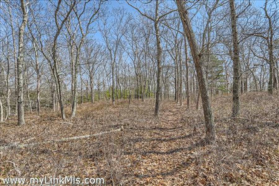 0 Edgartown Vineyard Haven Road M18AL8 1  Vineyard Haven